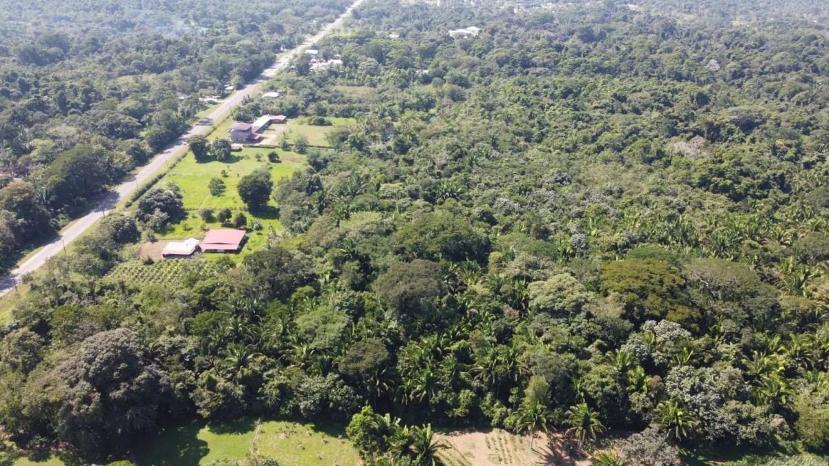 Golden Opportunity to own a fabulous Caribbean Vacation Home - Photo 3