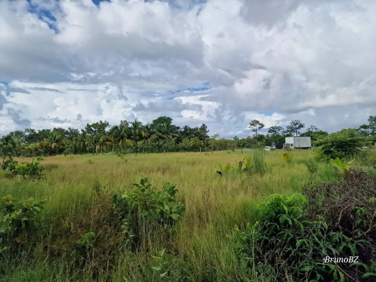 1 acre investment property in Bella Vista (Toledo) For Sale! - Photo 8
