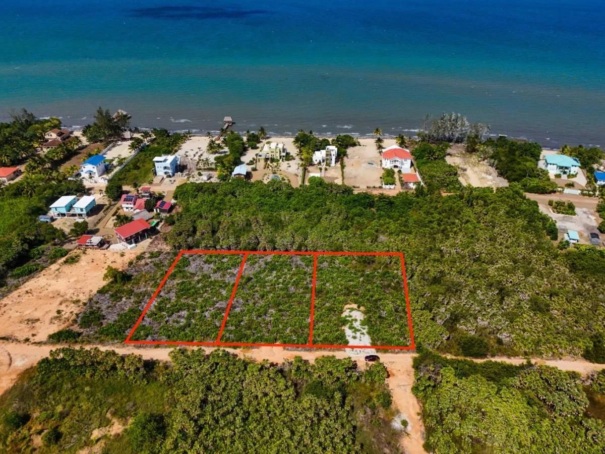 Triple Lot Opportunity (Over 1+ Acre)