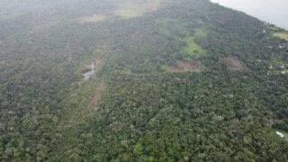 Lush Lots surrounded by Jungle - Photo 3