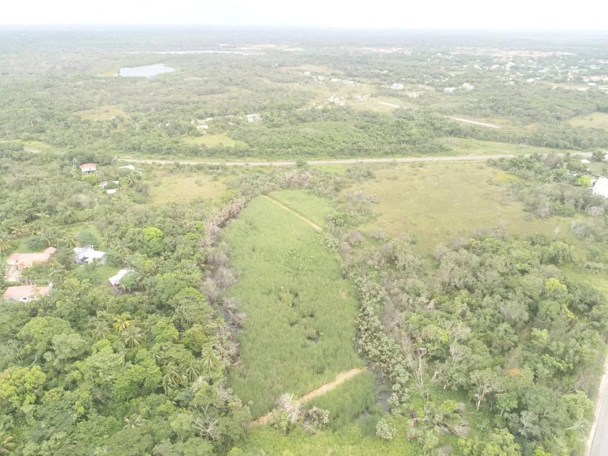 4.65 Acres close to Boom Hattieville Cutoff Road - Photo 3