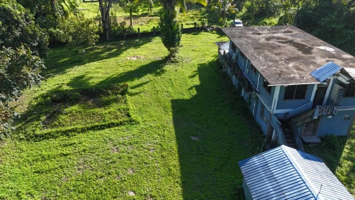 Tropical 3.93-Acre Property with Home Near Punta Gorda Town - Photo 4