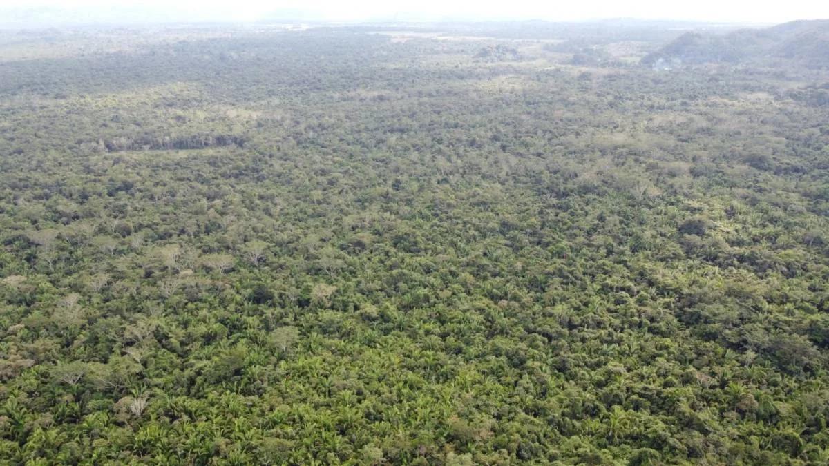 Superb investment opportunity, 40 acres newly listed! - Photo 3