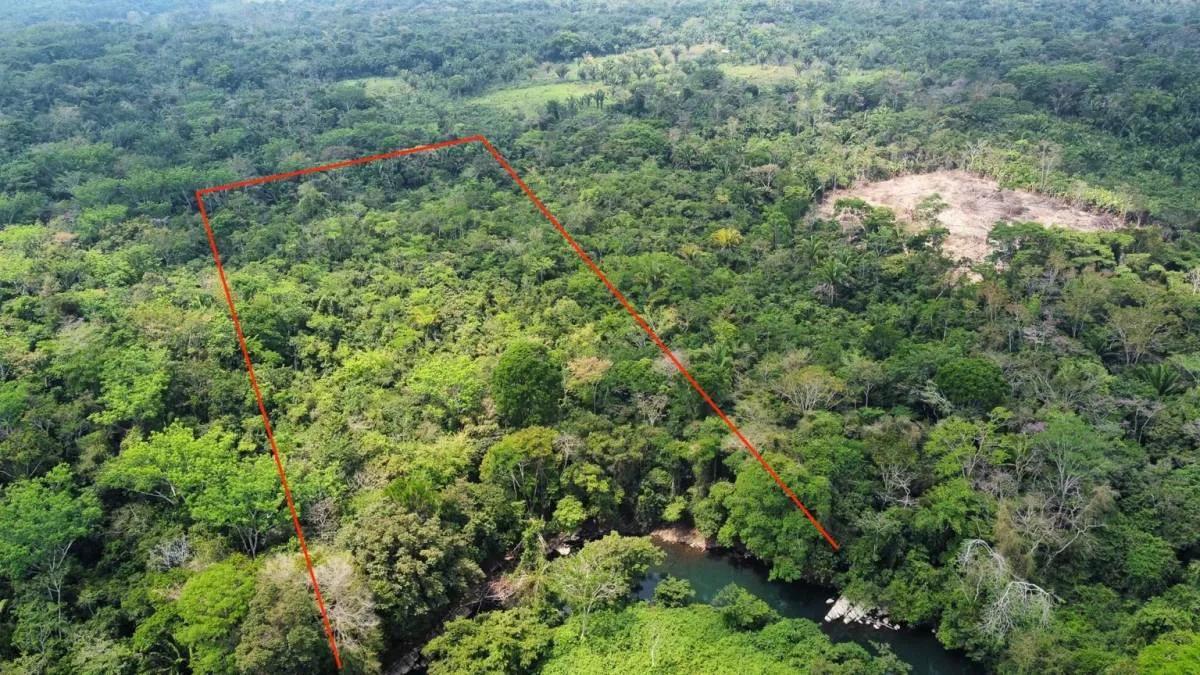28.2 Acres Of Riverfront In Big Falls - Photo 2
