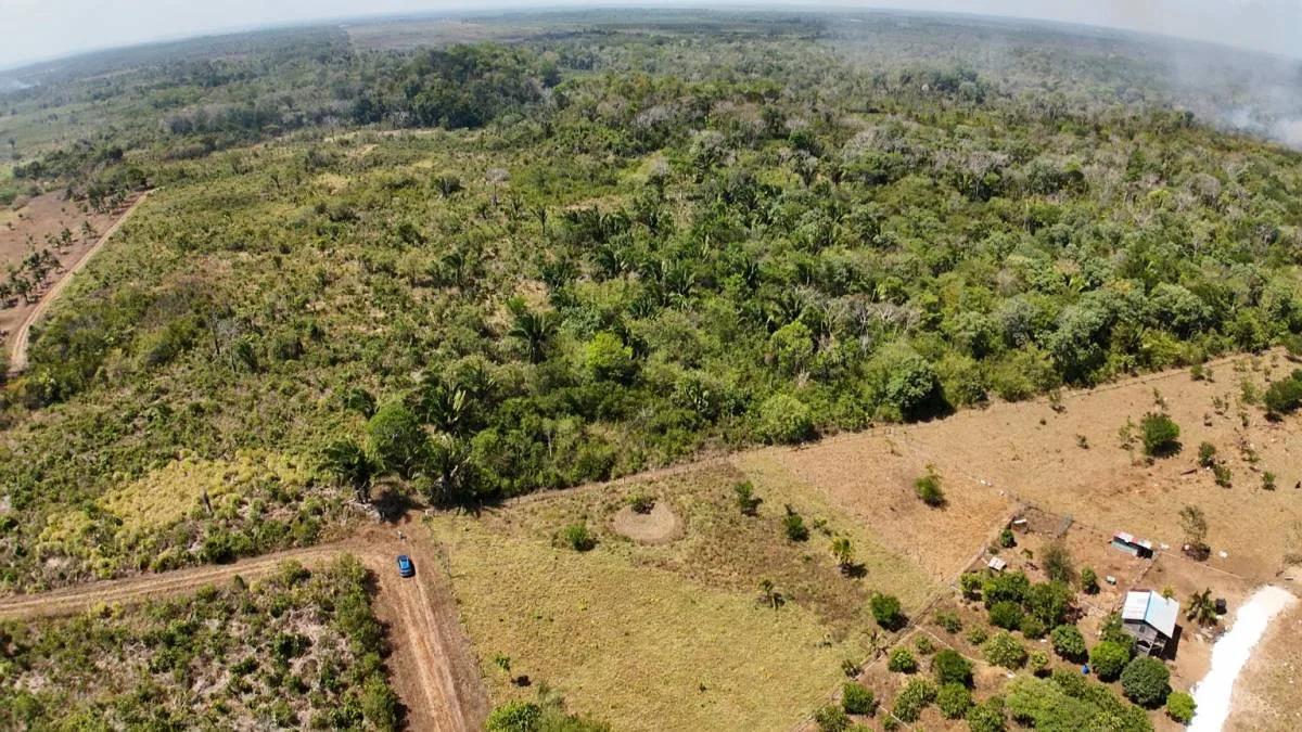 Escape to 25 acres of Agricultural Paradise near Belmopan - Photo 3