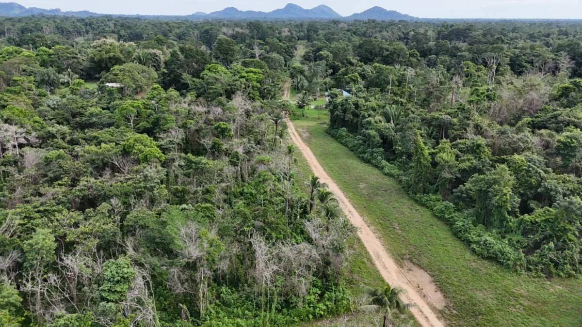 Beautiful 4 parcels high, dry land ready for development in Toledo, Belize - Photo 8