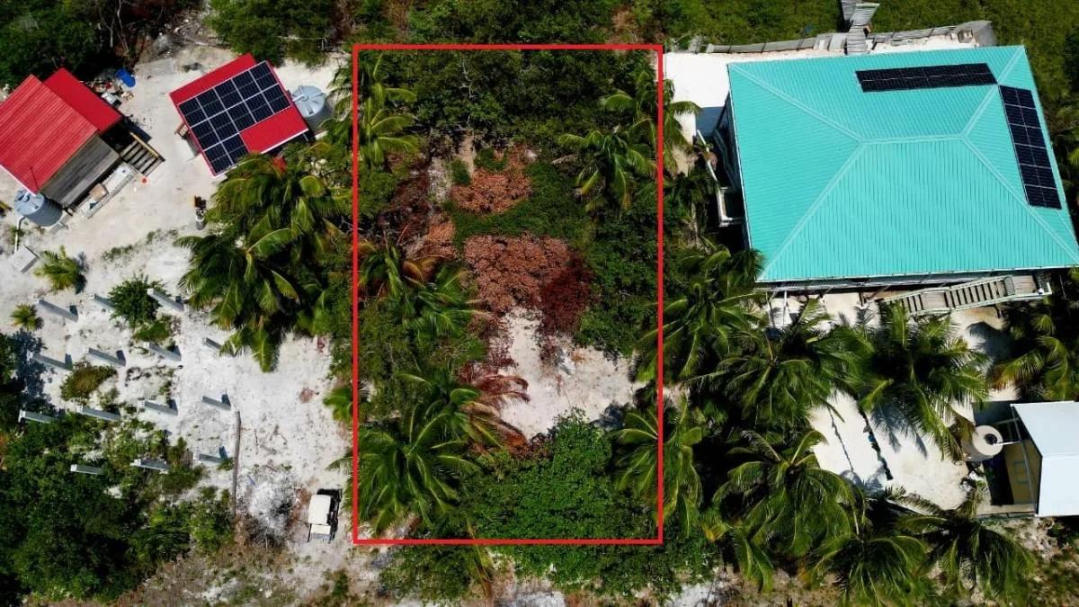 Lush Off-Grid Waterfront Opportunity – North Caye Caulker
