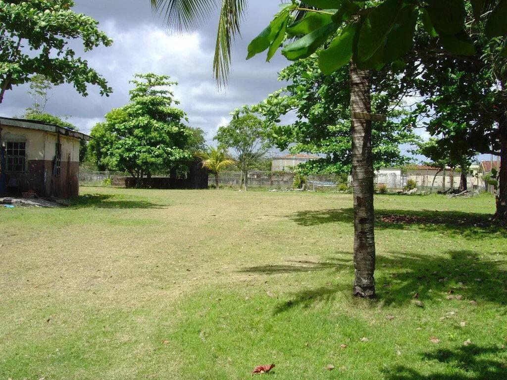 14 acres of riverside land located close to the International Airport and containing a warehouse and - Photo 2