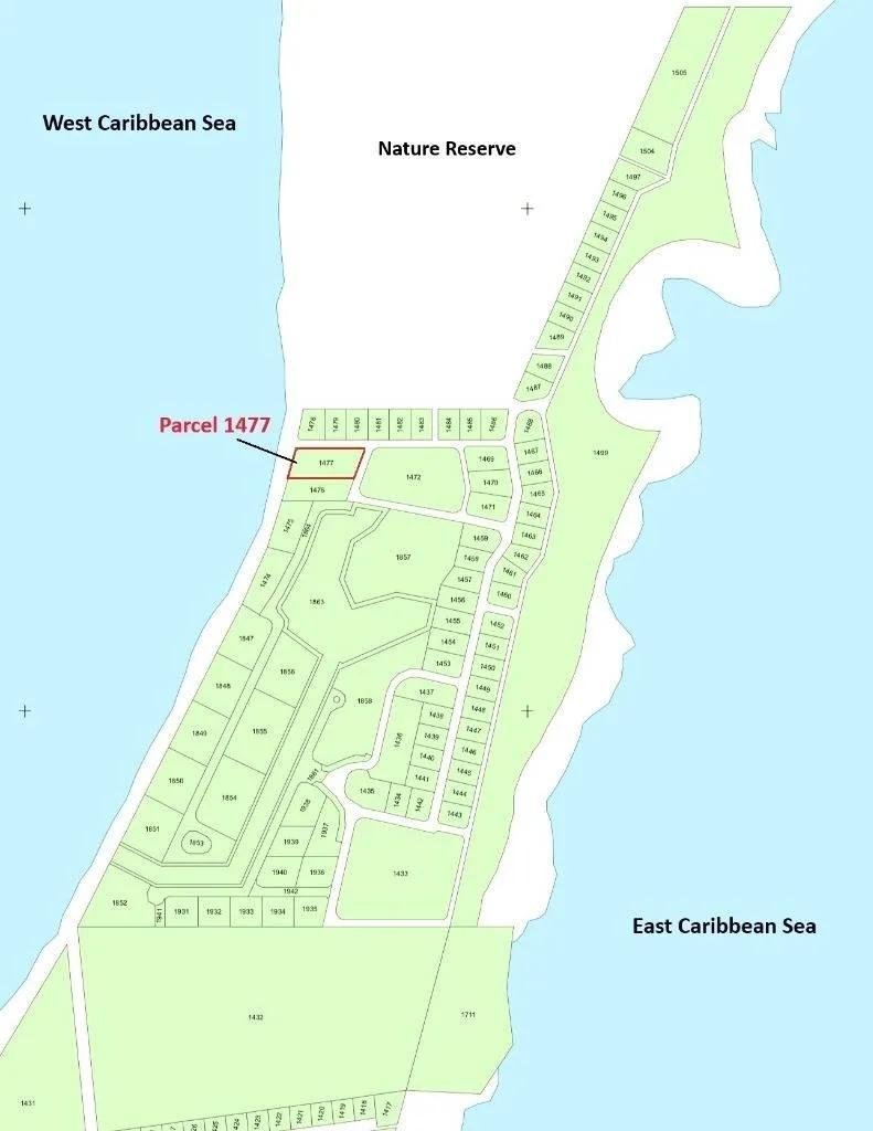 Large Piece of West Facing Beachfront- North Island - Photo 7