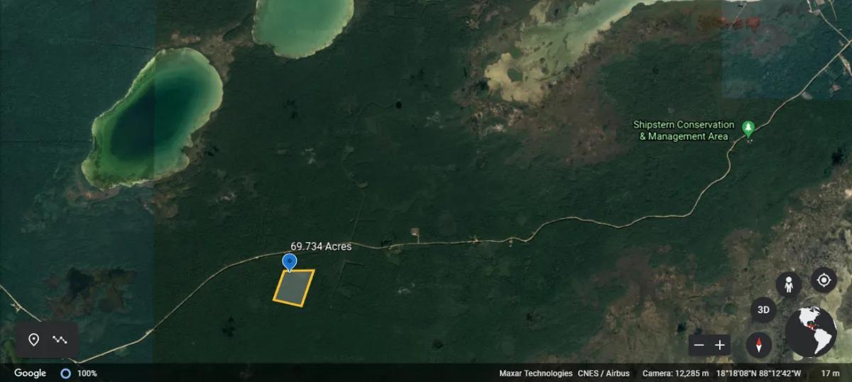69.734 Acres of Forestry Land in Warree Bight/Sarteneja - Photo 6