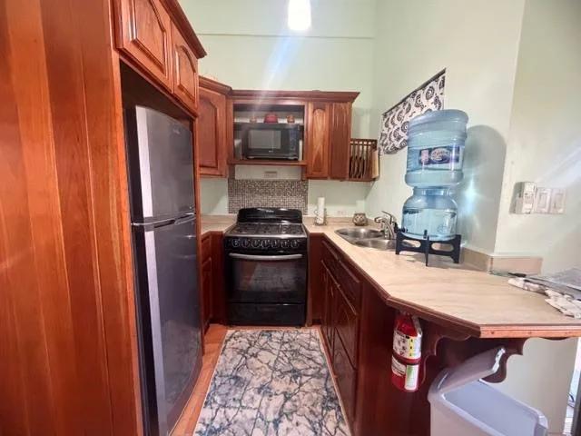 Prime Village Location! 1- Bedroom Condo with Private Rooftop Terrace in the Heart of Caye Caulker - Photo 4
