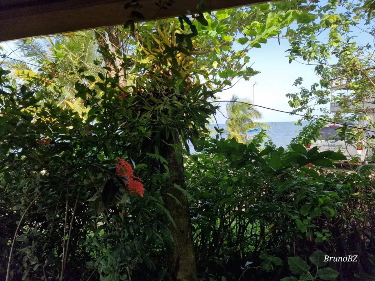 Thinking of investing in a Guesthouse in Toledo? - Photo 4