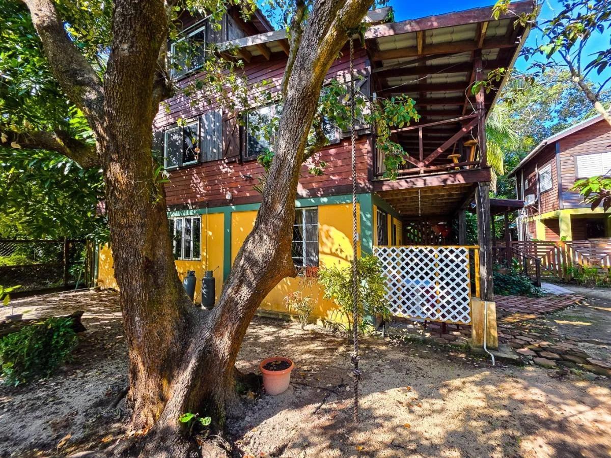 Income-Generating Oasis on the Placencia Peninsula - Photo 4