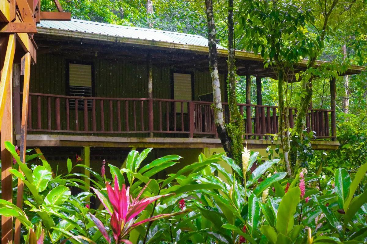 Prime Real Estate | 199 Acres Along Belize’s Iconic Hummingbird Highway - Photo 8