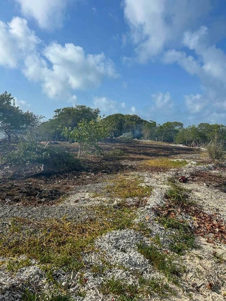 Investment Island Property | 1.515 Acres – Bodden Caye, Belize - Photo 2