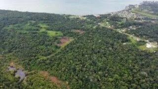 Lush Lots surrounded by Jungle - Photo 7