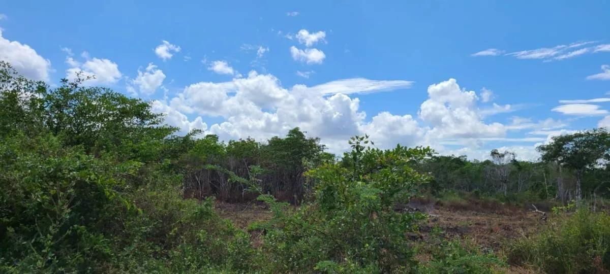 Prime Land for Sale Between Carmelita Vill. and Biscayne, just 10 minutes off Philip Goldson Hwy