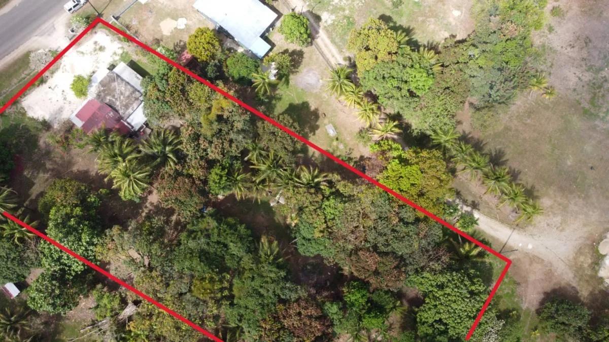0.92 acres in the heart of Jacintoville (Toledo) - Photo 6
