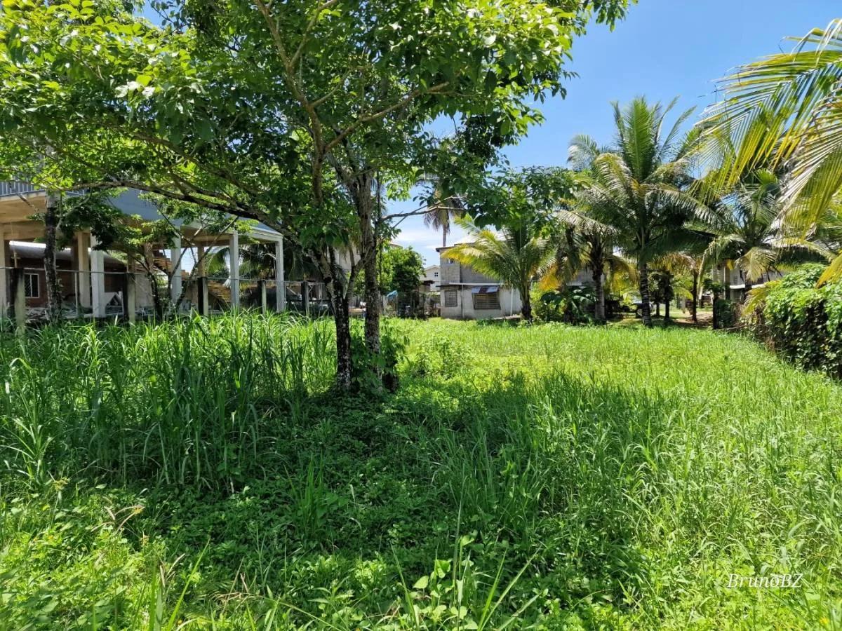 Affordable House Lot for Sale in Punta Gorda Town