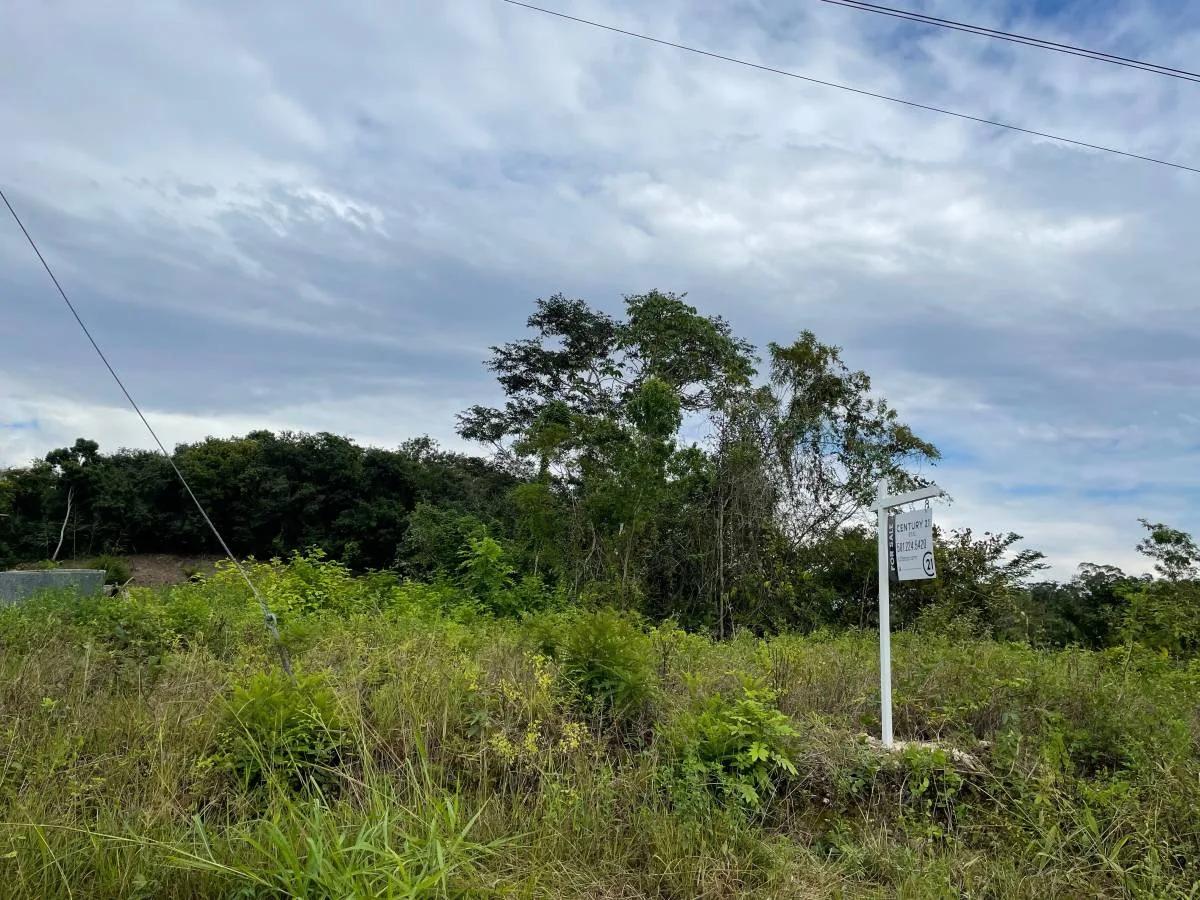 Residencial Lot For Sale In San Ignacio Town - Photo 3