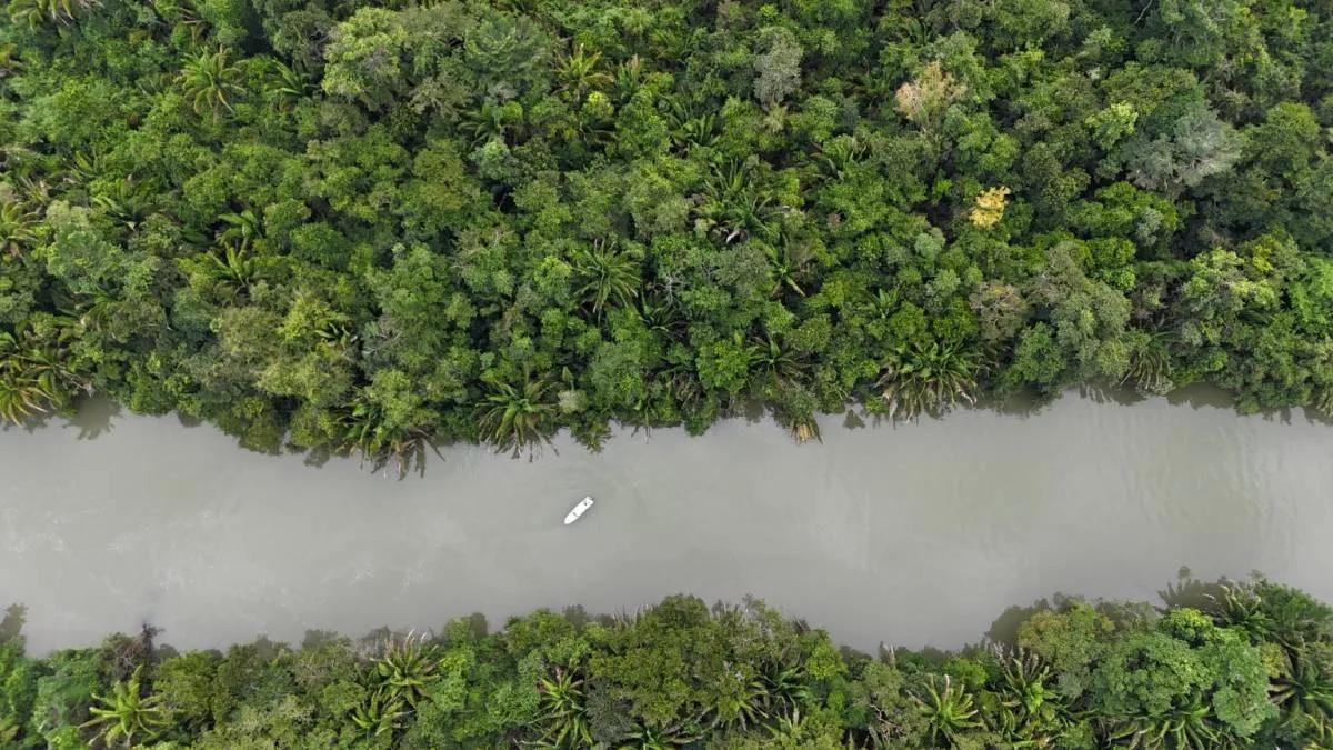 An Exceptional Investment Opportunity in Southern Belize! - Photo 5