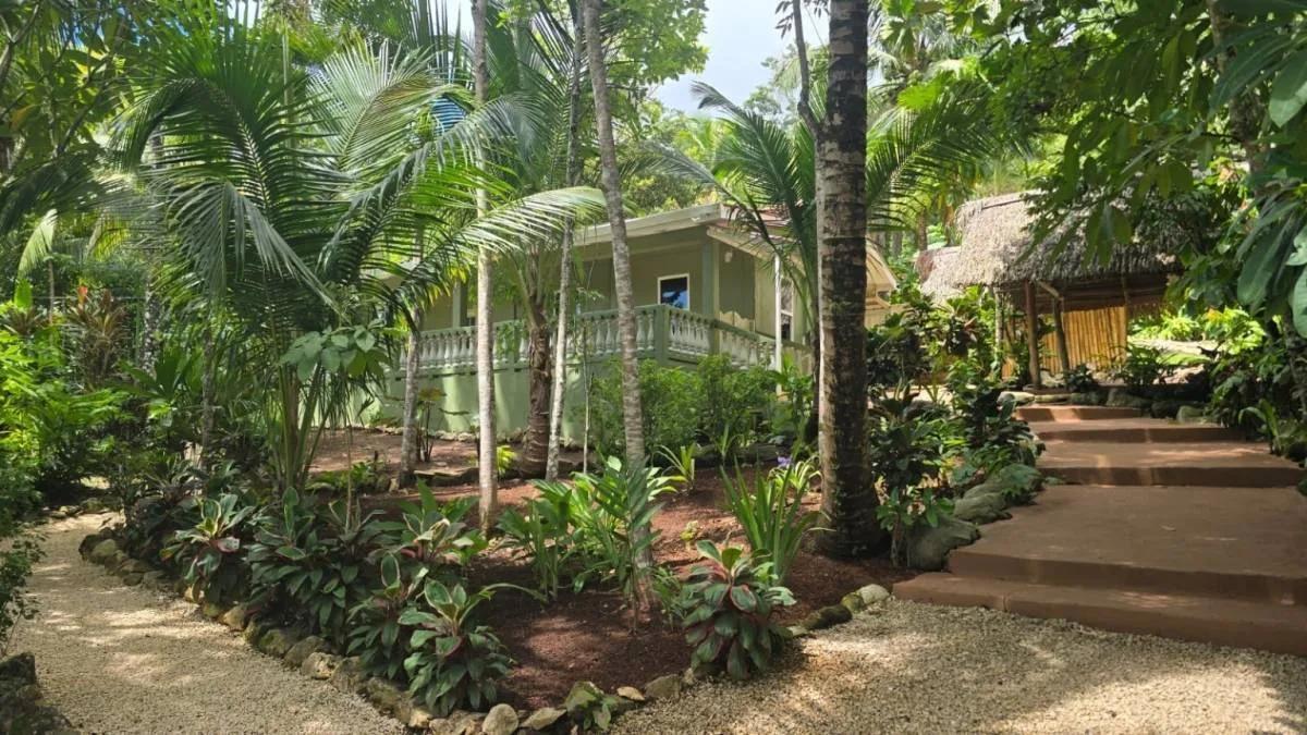 REDUCED! REDUCED! 12.853 Acres of Tropical Retreat Surrounded by Nature - Photo 2