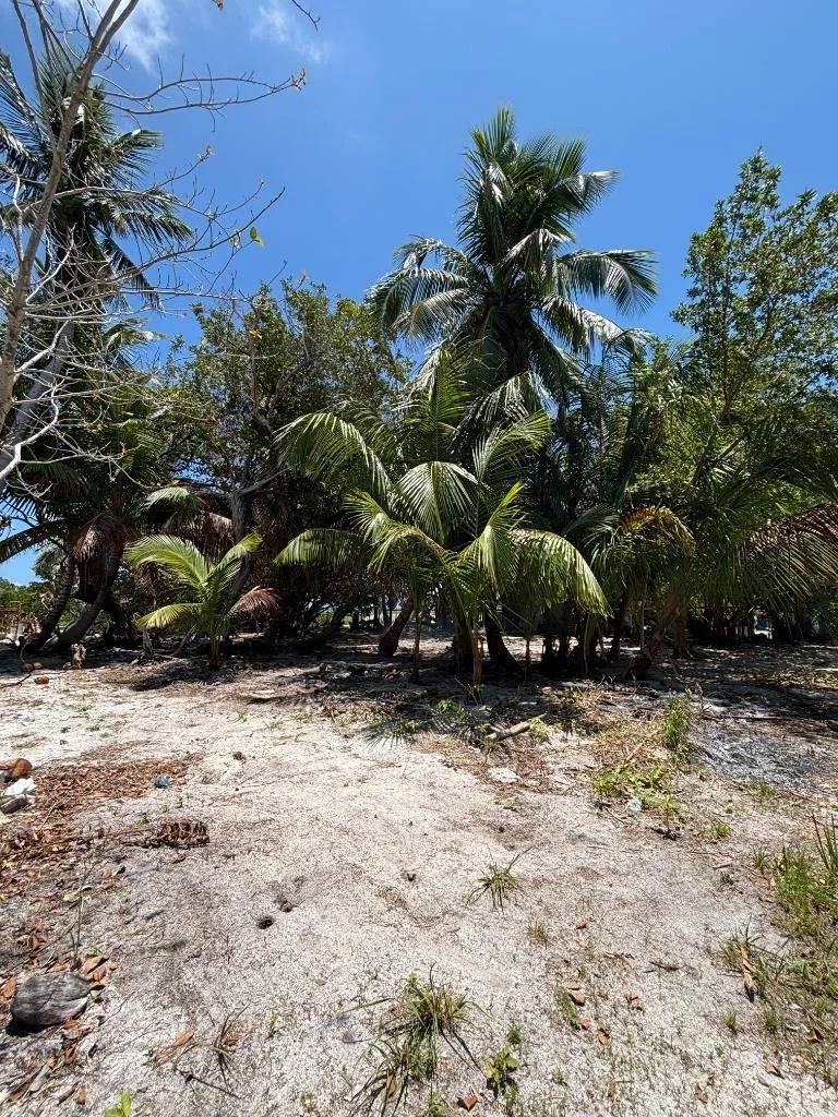 Lush Off-Grid Waterfront Opportunity – North Caye Caulker - Photo 5