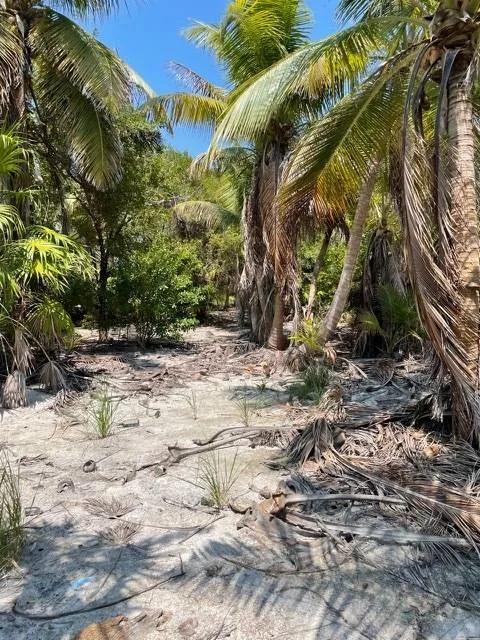 Rare Double Waterfront Lot Opportunity – North Island, Caye Caulker - Photo 2