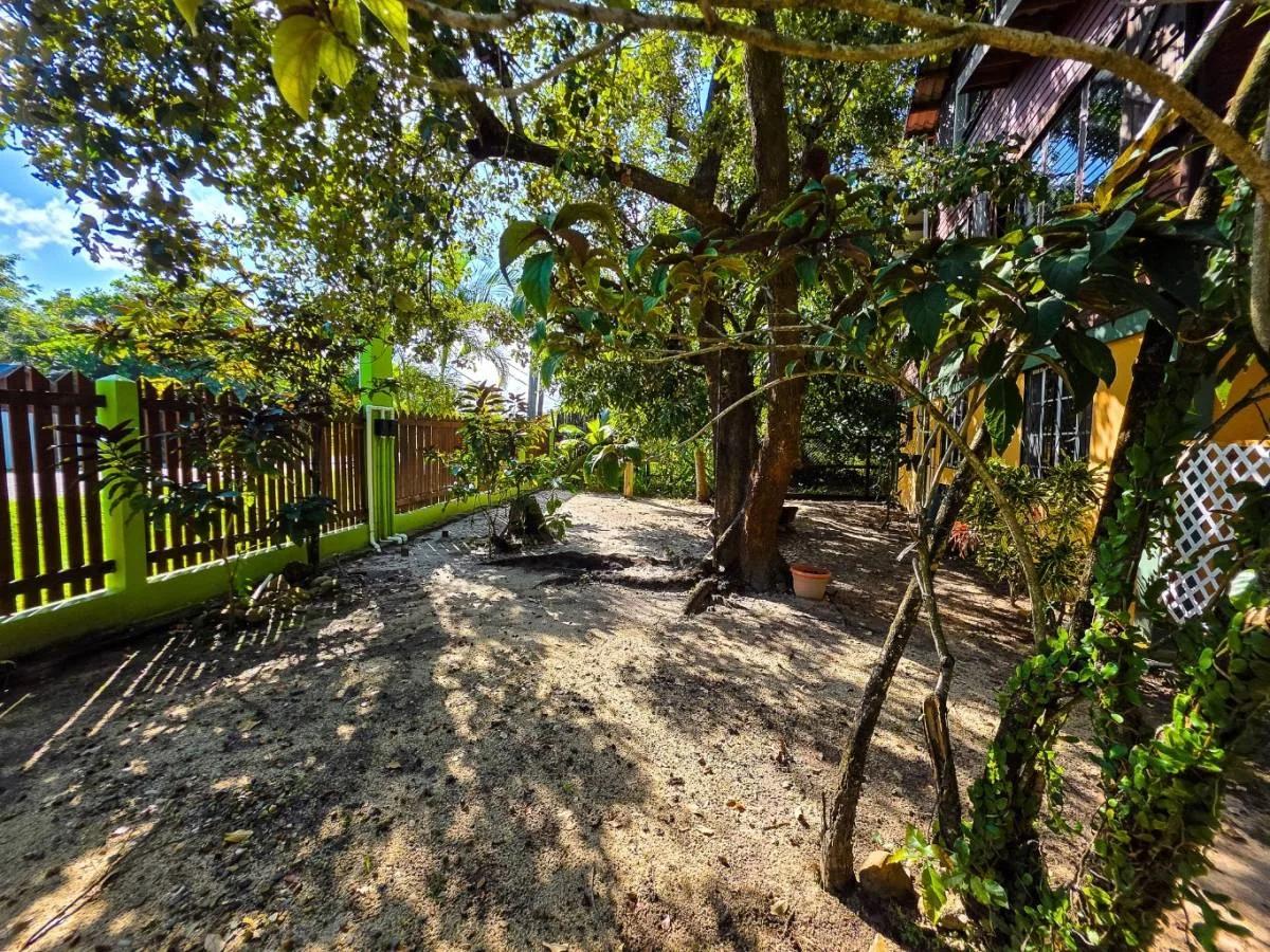 Income-Generating Oasis on the Placencia Peninsula - Photo 7