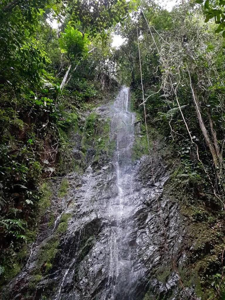 Prime Real Estate | 199 Acres Along Belize’s Iconic Hummingbird Highway - Photo 4