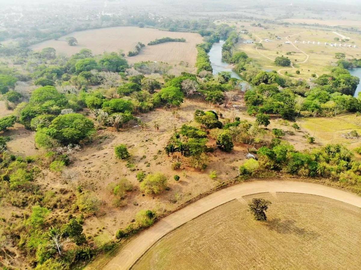 12.76 Acre River Front Property In Cayo - Photo 6