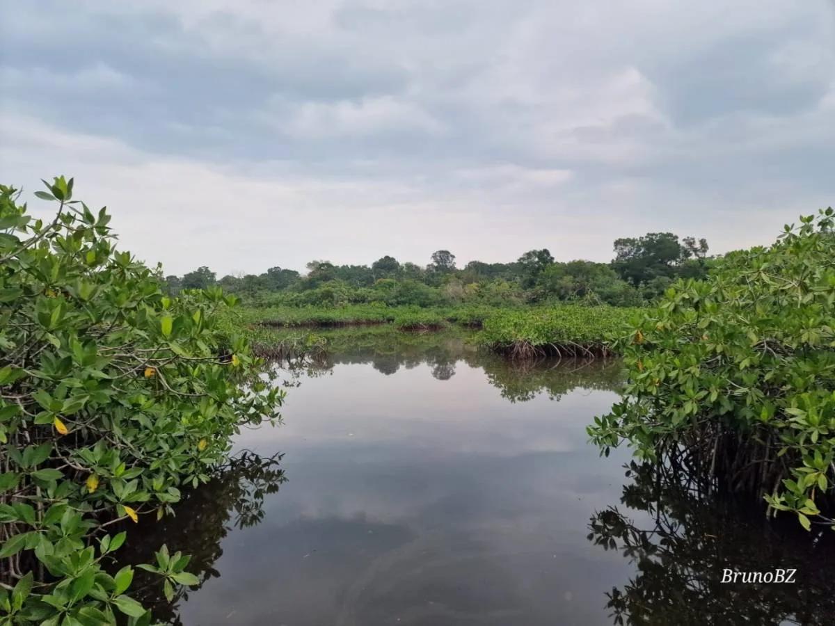 "Prime Riverside Majesty: 50 Acres of Untouched land in the Moho River, Toledo District" - Photo 7