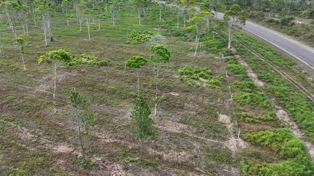 383 Acres of Agricultural & Investment Potential – Bladen, Belize - Photo 4