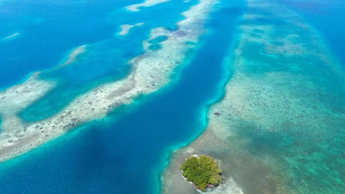 Idyllic Island Lifestyle with 2.031 Acres Of Perfection on Saddle Caye - Photo 5