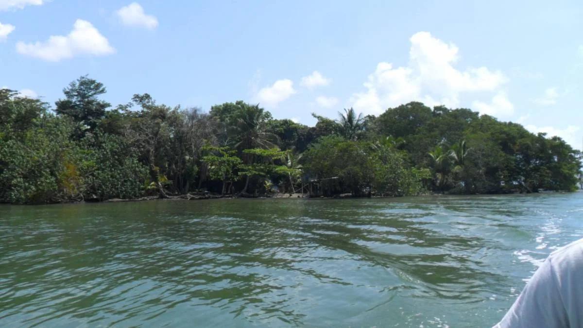 Seventeen plus beautiful acres of land at the mouth of the Moho River and the Caribbean Sea.