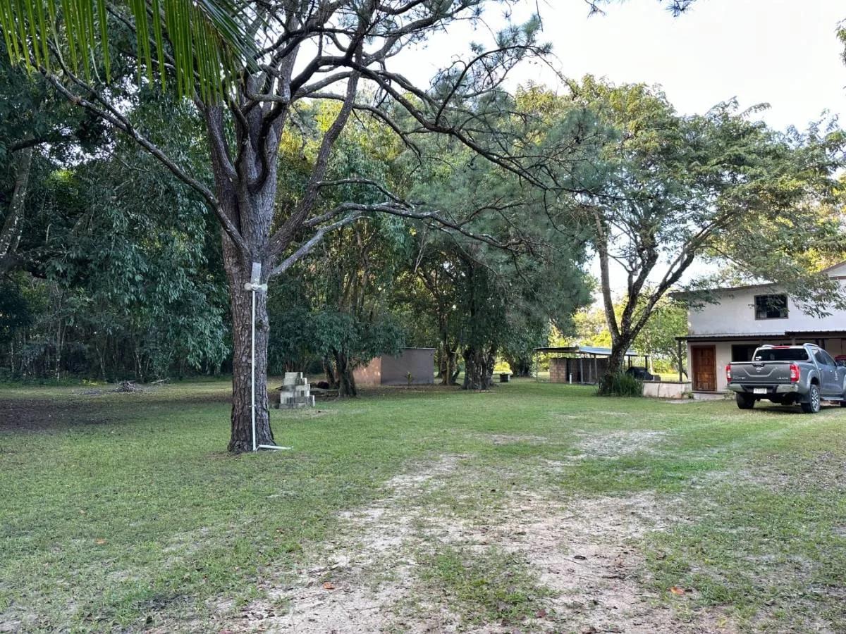 Pack your bags!! 4 Acres with fully furnished home ready to move in!! - Photo 6