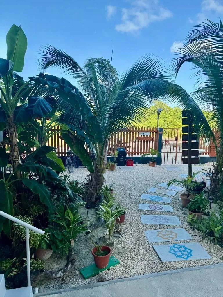 Successful Eco Multi-Rental Property – Caye Caulker, South Island - Photo 3