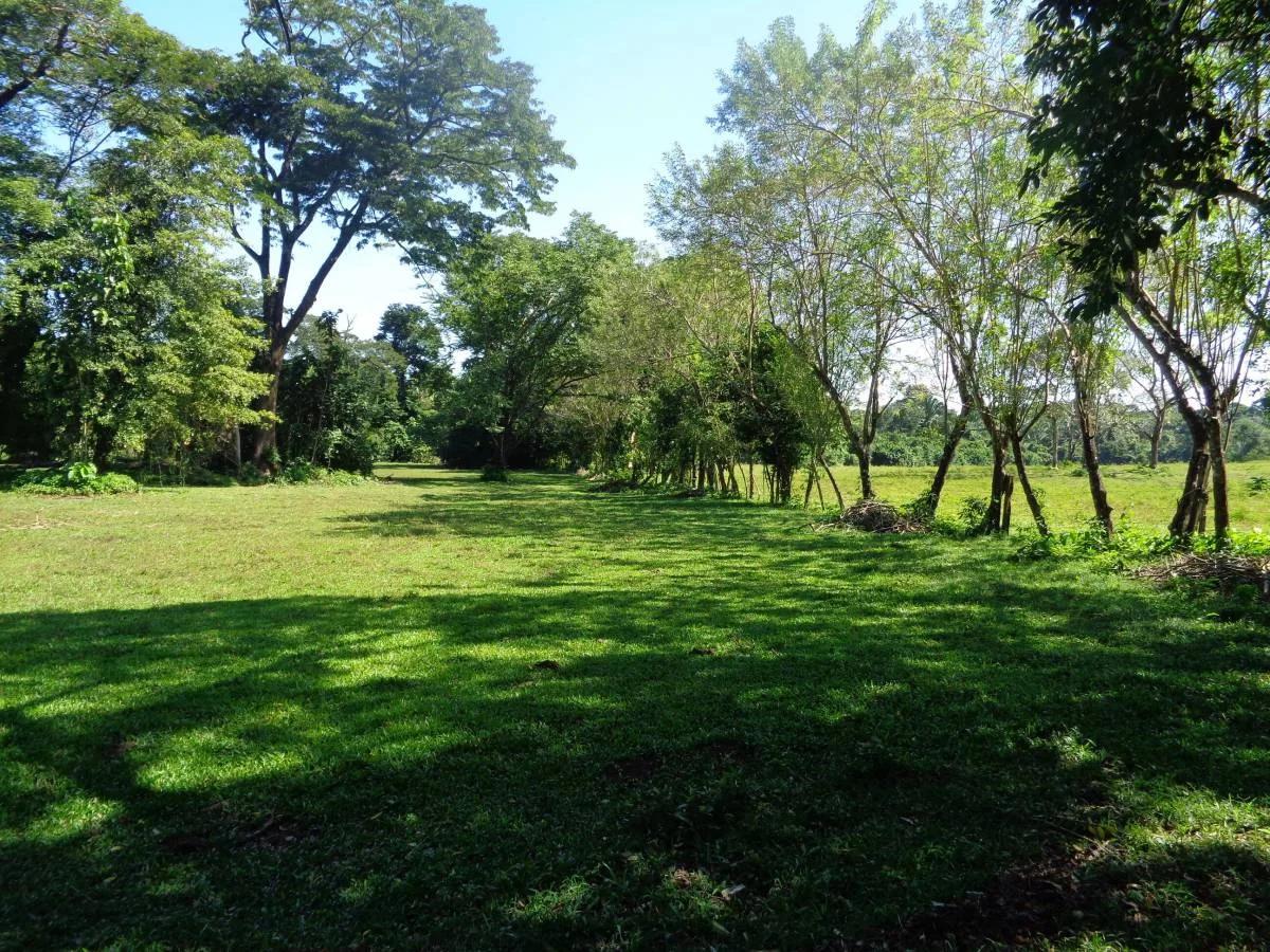 39+ magnificent acres of relatively high, fertile land in a tranquil and pristine setting.
