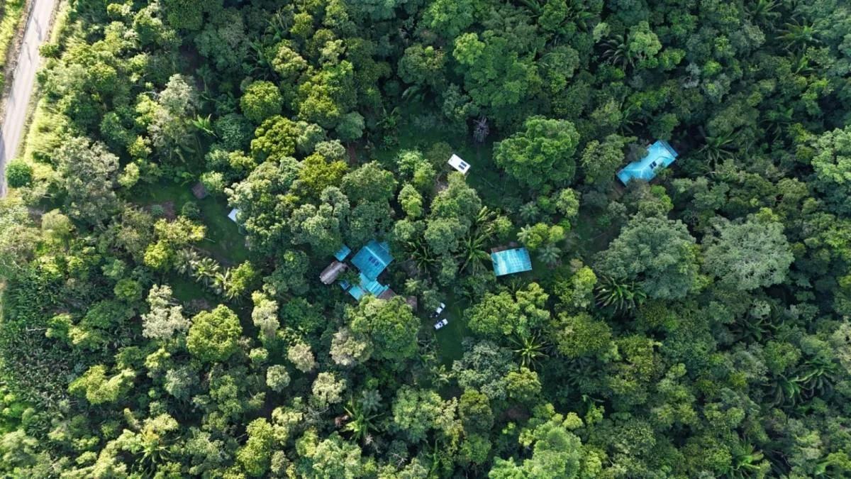 Fantastic 51.42-Acre Farm for Sale – The Farm Inn, Toledo, Belize - Photo 3