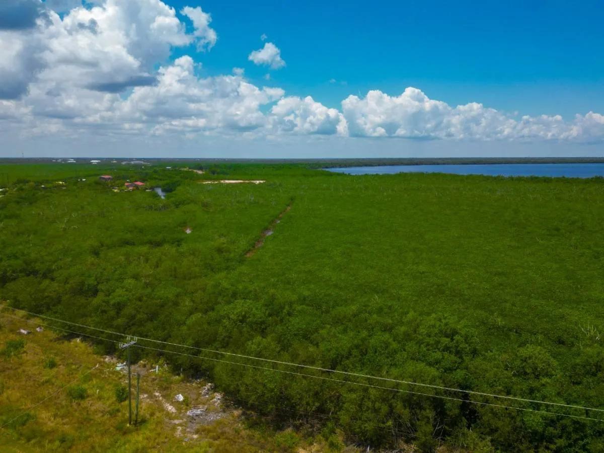 8.96 Acres from Highway to Burdon Canal - Photo 7