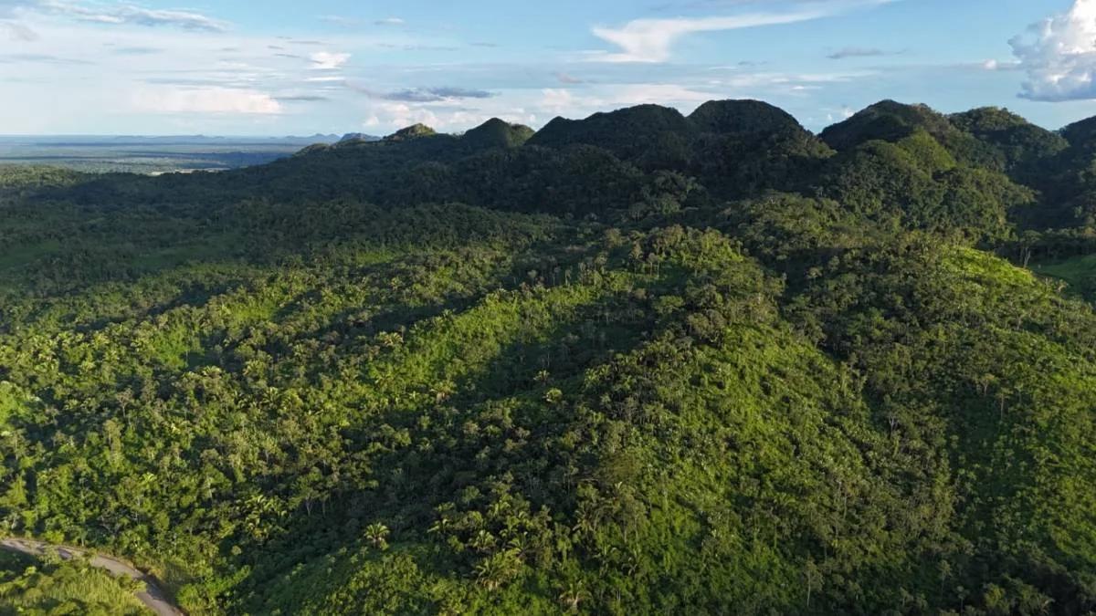 Fantastic 51.42-Acre Farm for Sale – The Farm Inn, Toledo, Belize - Photo 4