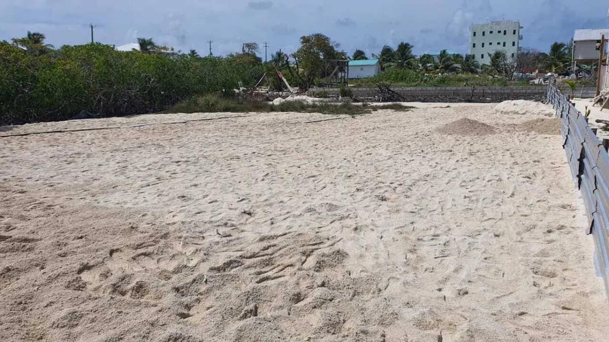 Prime Lot Near The Sea- North Island - Photo 2