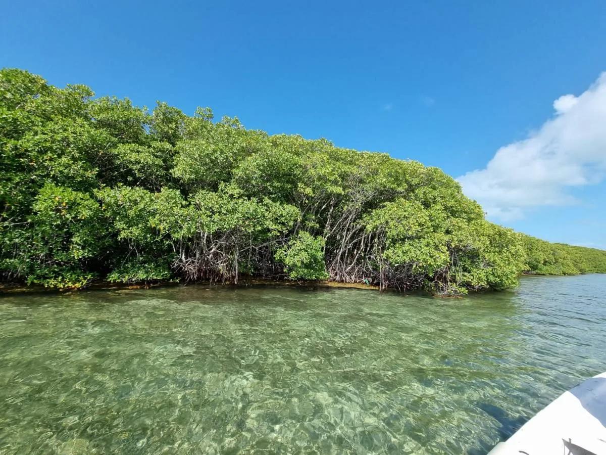 5 acre Private Island Near Ambergris Caye - Photo 3