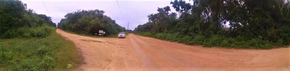 4 SeaFront Lots & 4 Adjacent Back Lots (8 Lots ) Package For Sale in Sarteneja. - Photo 2