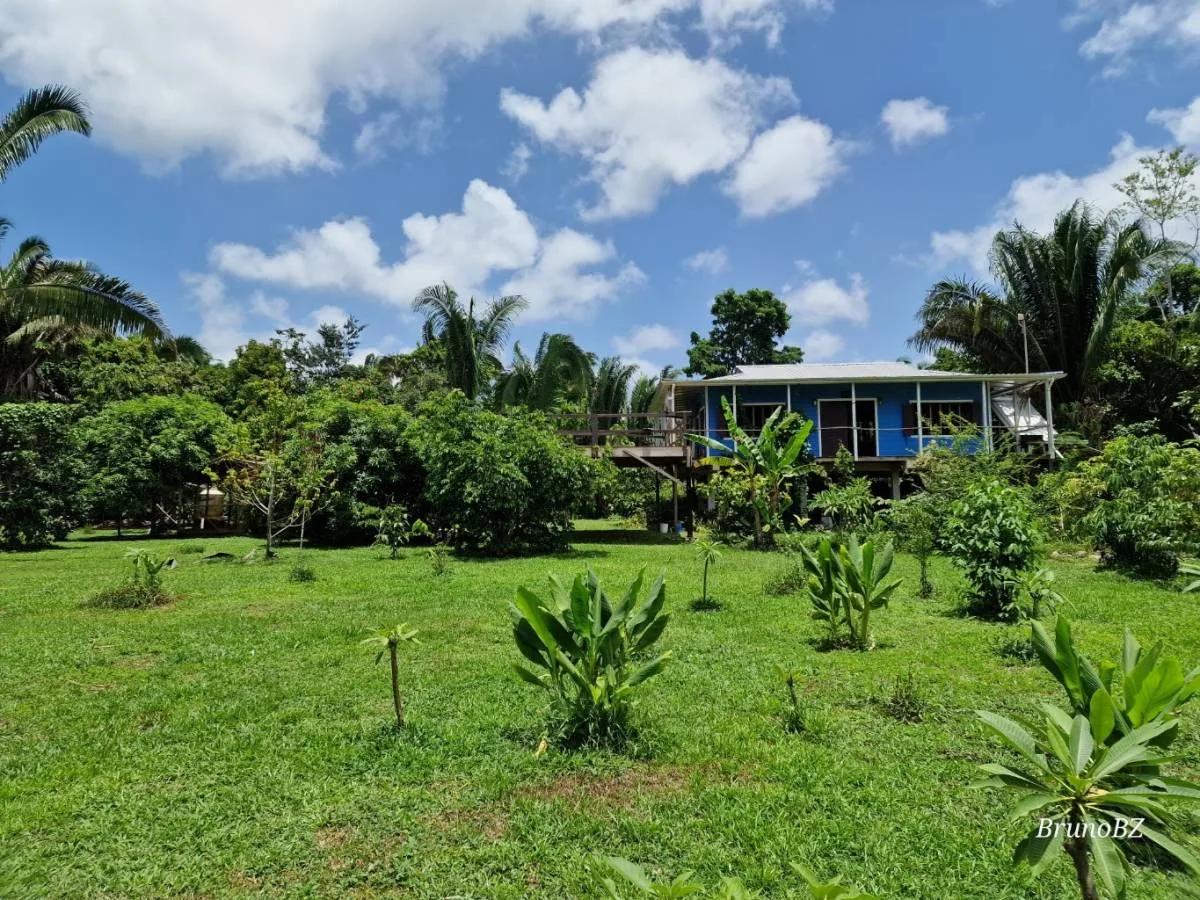 Now is the time to make your off-grid jungle living dreams come true. - Photo 7