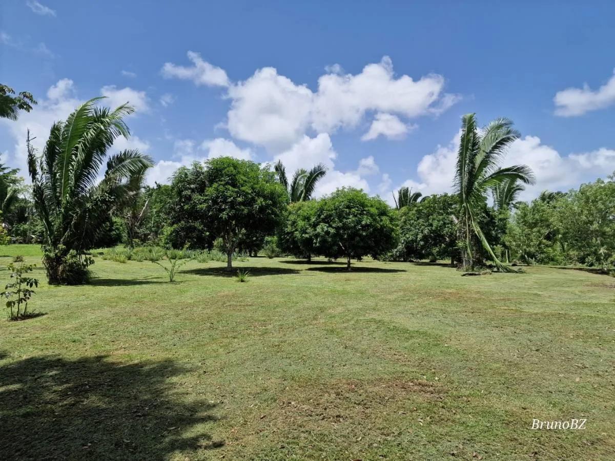 Now is the time to make your off-grid jungle living dreams come true. - Photo 3