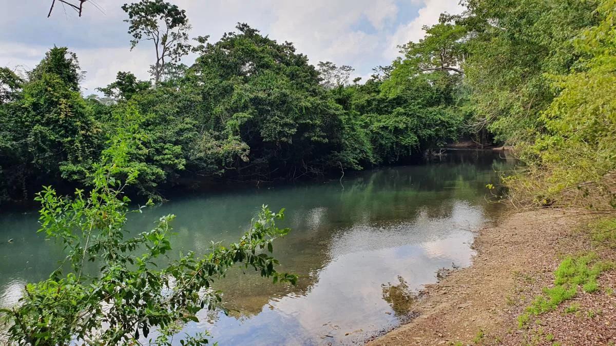 25 Acres of Riverside Land in Toledo with 2 single Family Home - Photo 8