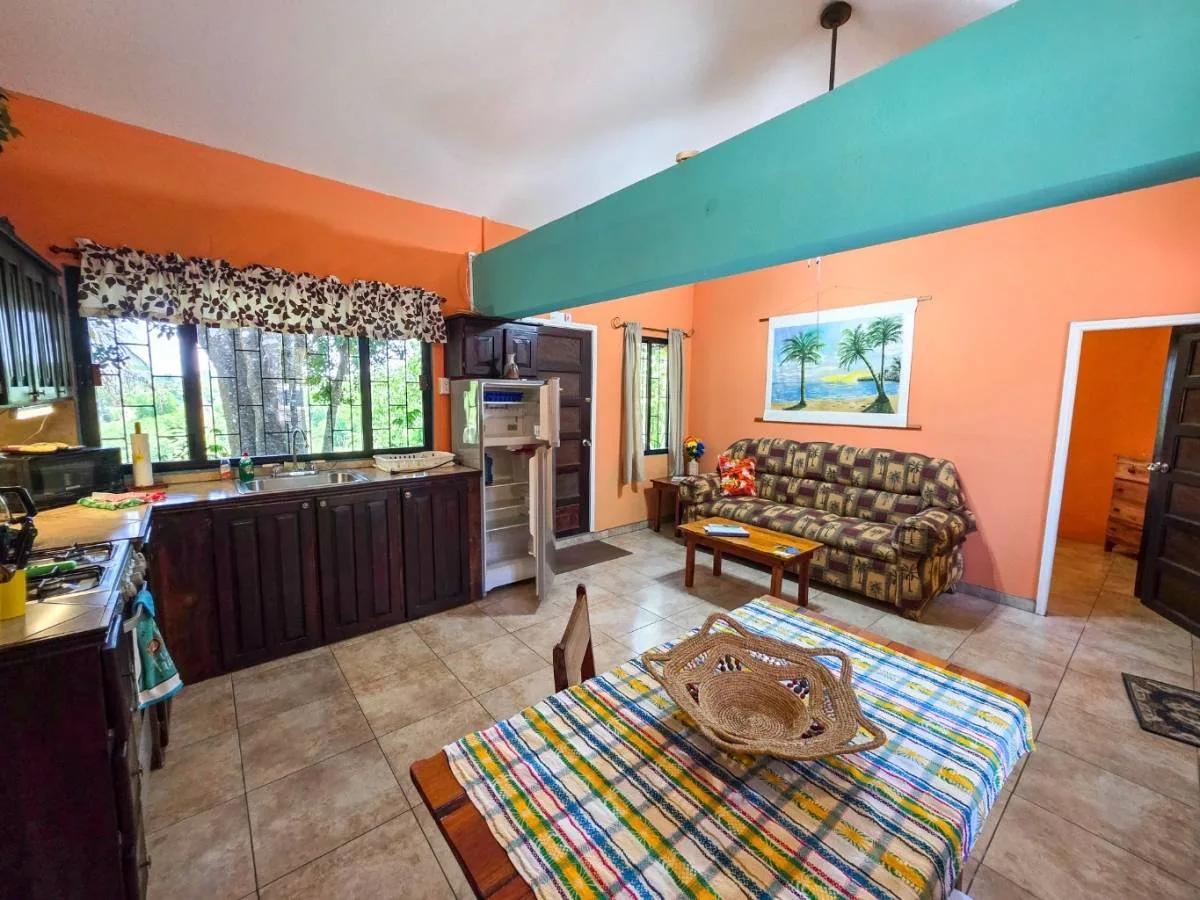 Riverfront Retreat In Twin Town Cayo - Photo 8