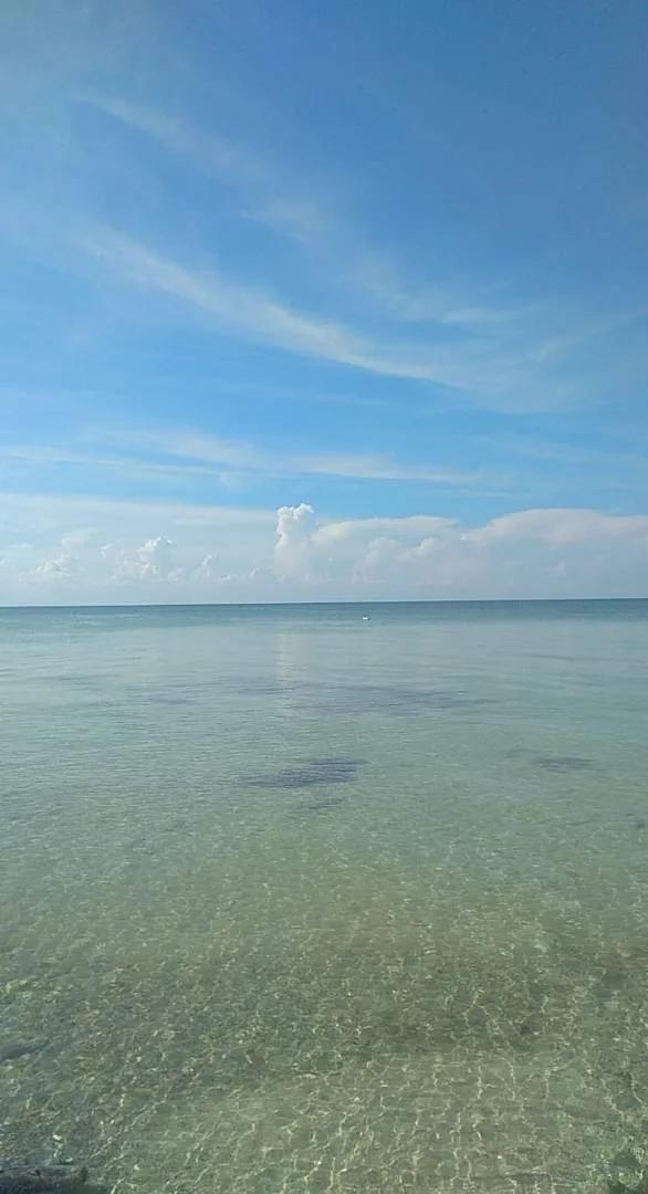69.734 Acres of Forestry Land in Warree Bight/Sarteneja - Photo 4