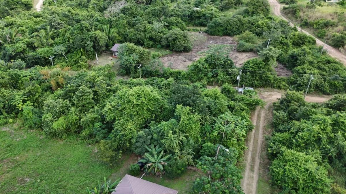 469.837Sq.m. of Prime Residential Lot in Belmopan - Photo 2